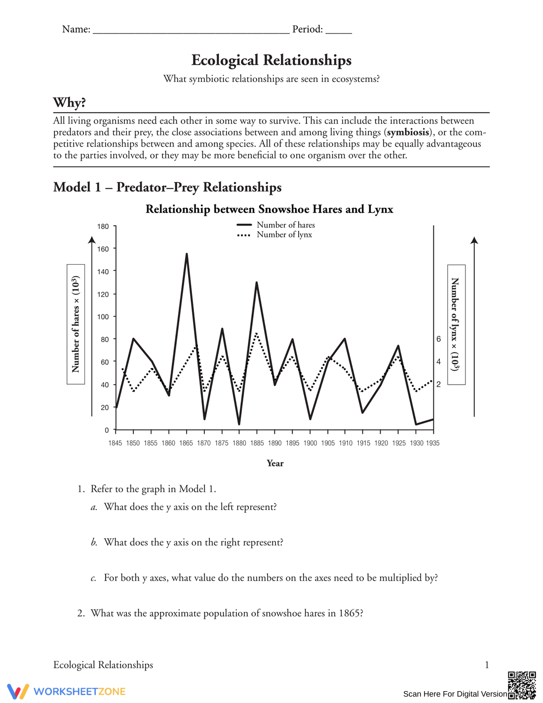 Ecological Relationships: Updated Worksheet - Page 1