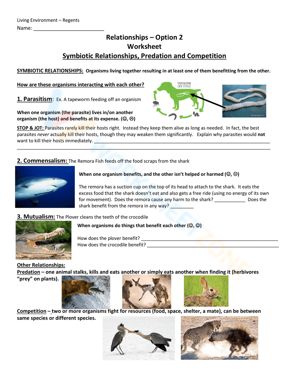 Explore Symbiotic Relationships - Page 1