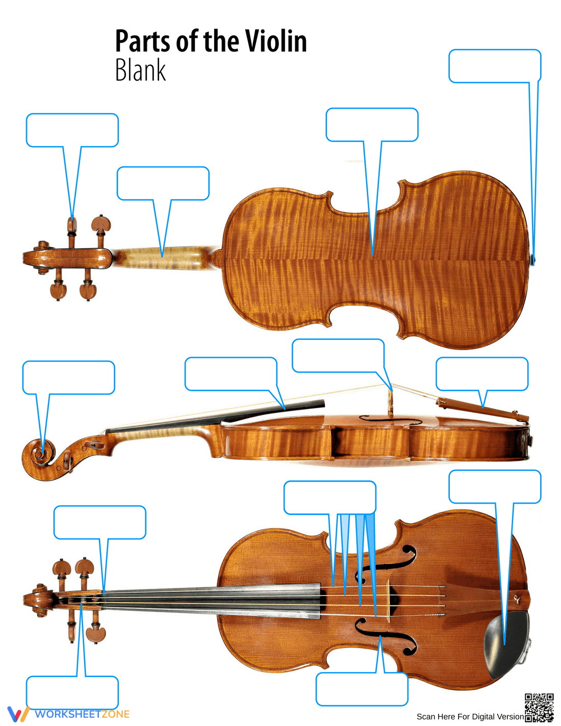 Violin Parts Identification Worksheet - Page 1