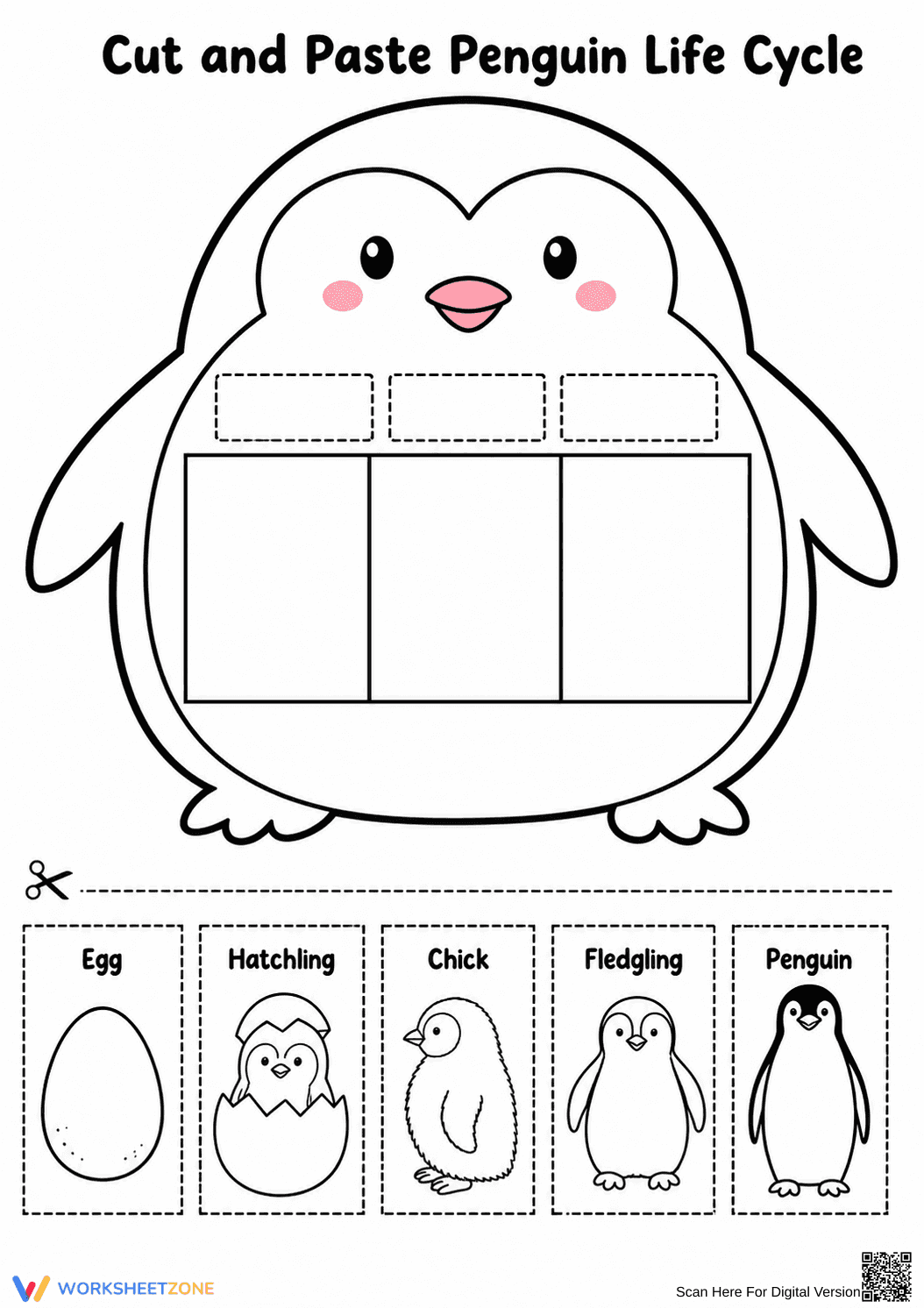 Penguin Life Cycle Worksheet | Essential Grade K Science - Page 1