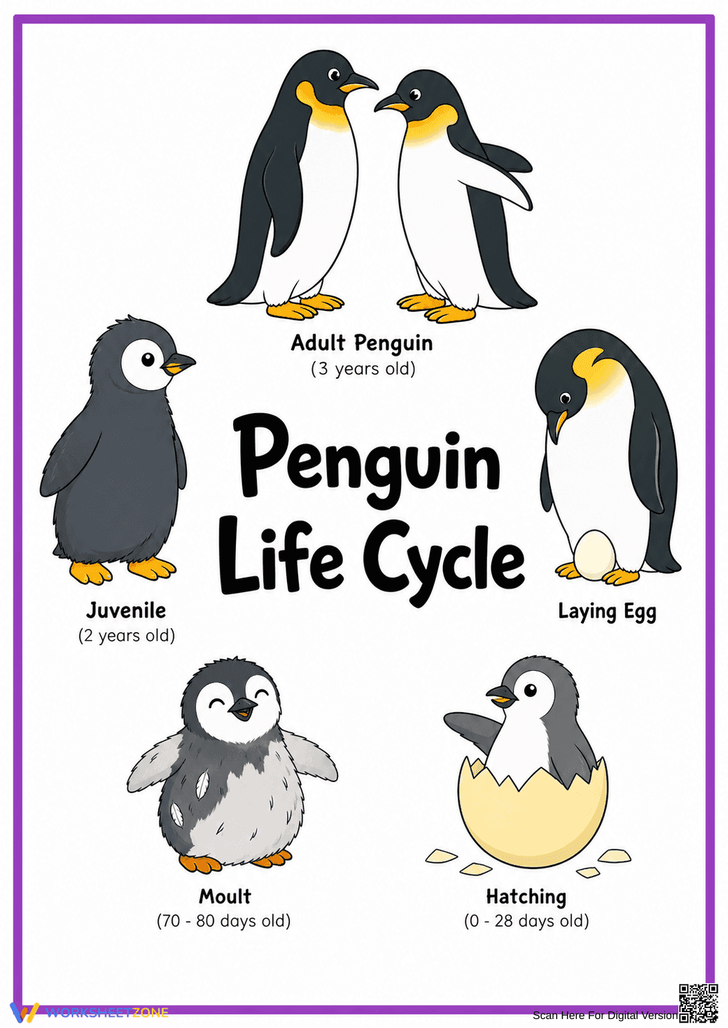 Printable Penguin Life Cycle Diagram | Grade 1 Science - Page 1