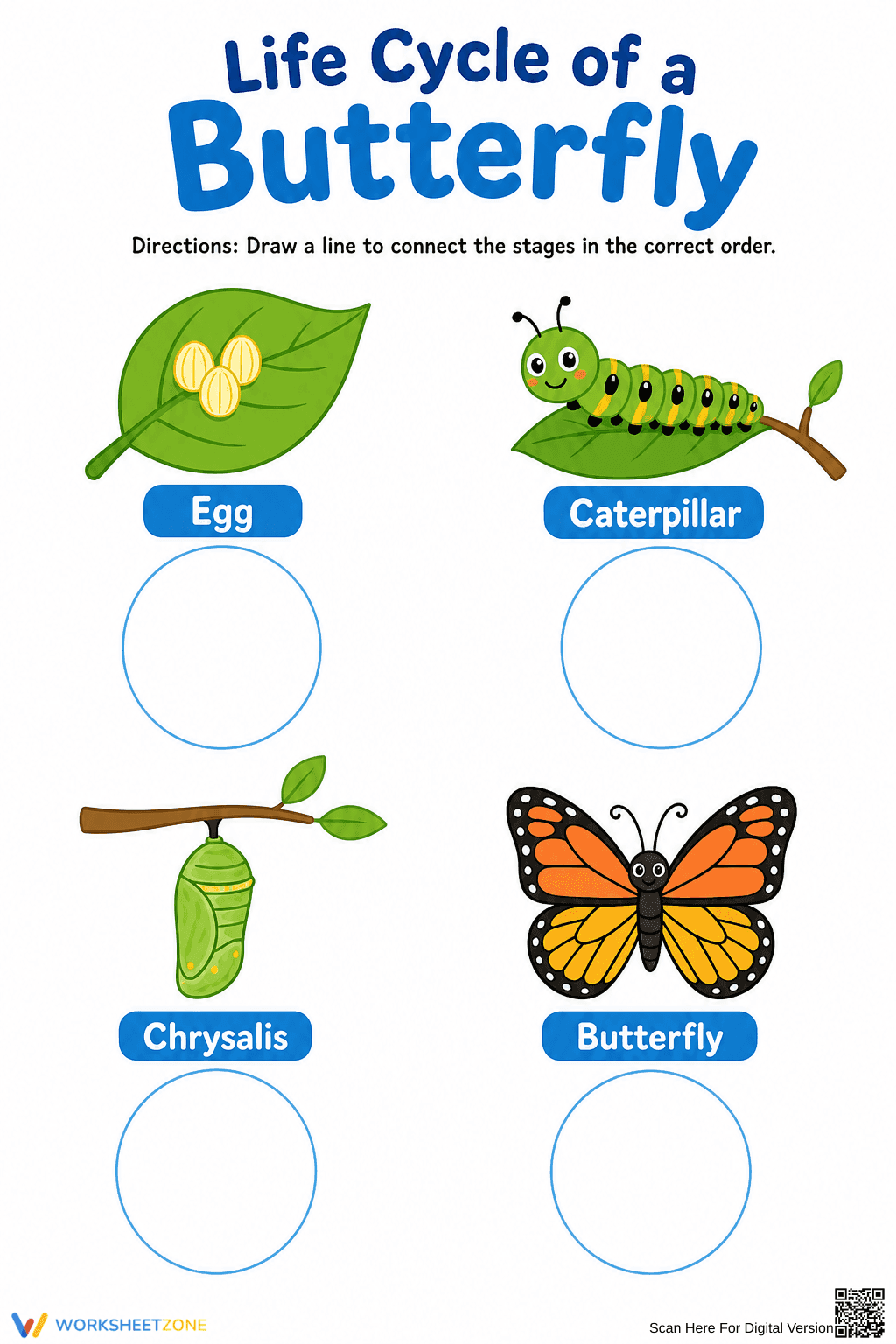 Printable Butterfly Life Cycle Worksheet | Grade 1 - Page 1