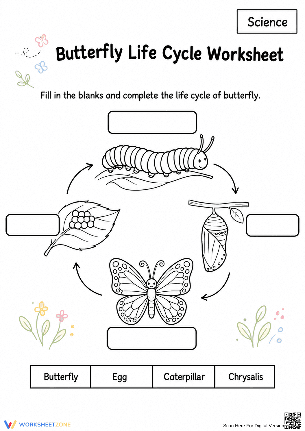 Butterfly Life Cycle Worksheet | Grade 6 Essential - Page 1