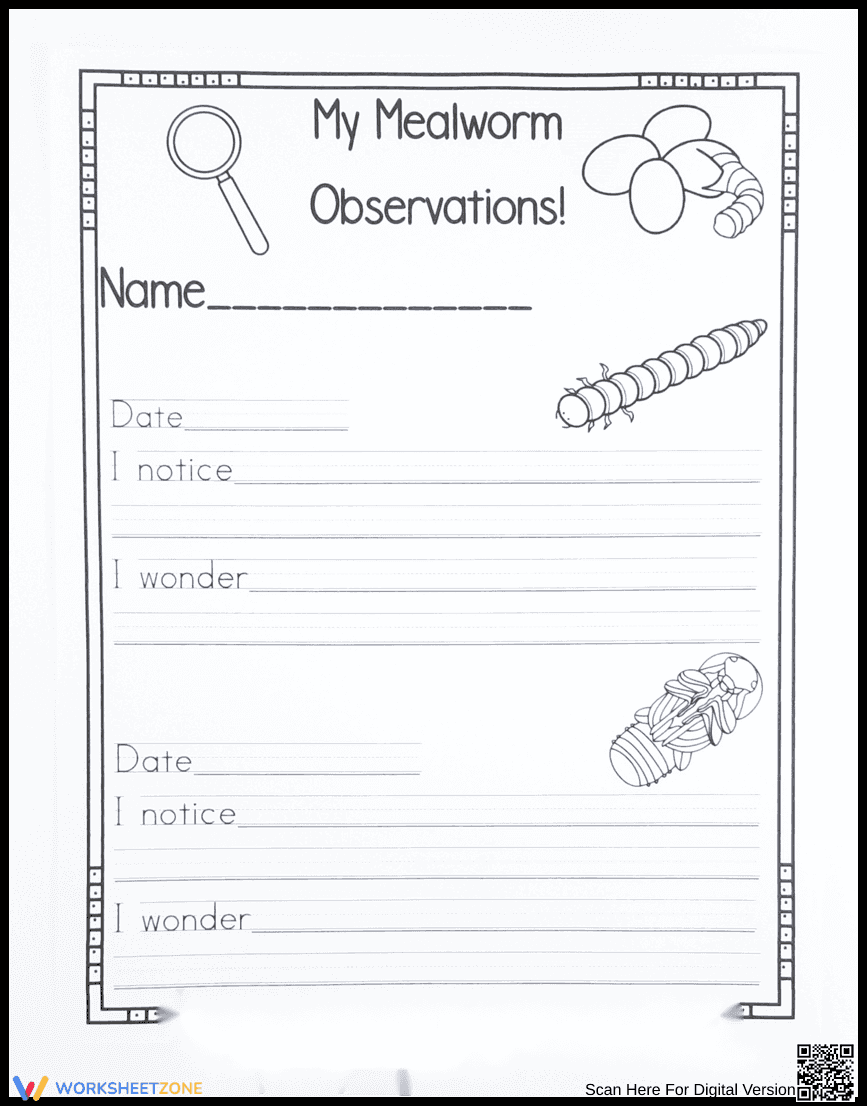 Conduct a Mealworm Observation - Page 1