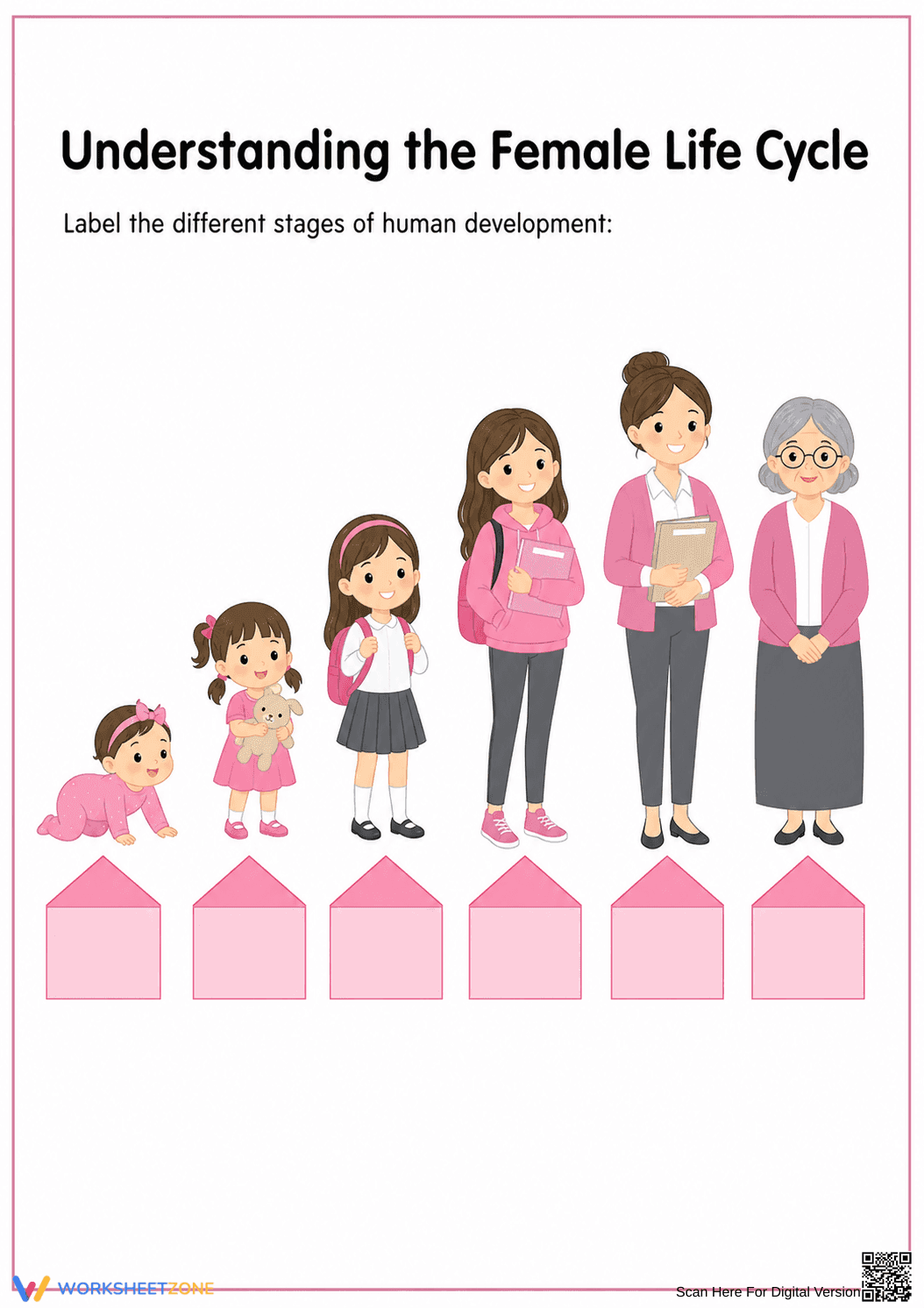 Essential Female Life Cycle Worksheet | Grade 1 Science - Page 1
