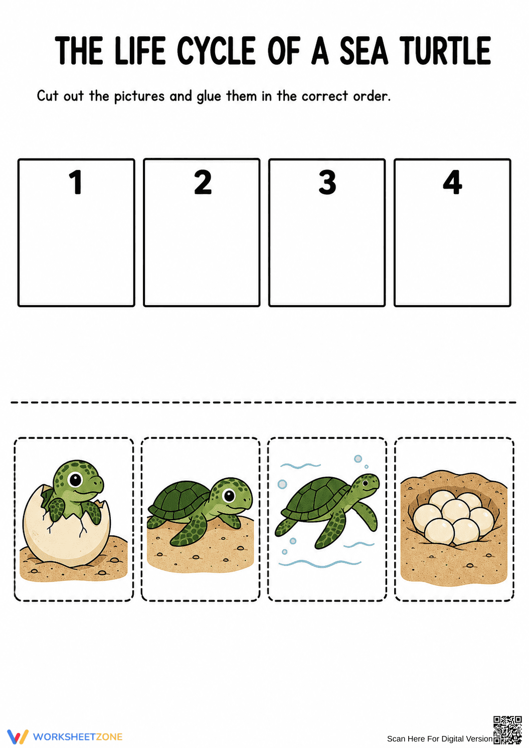 Grade 1 Sea Turtle Life Cycle — Printable No-Prep Worksheet - Page 1
