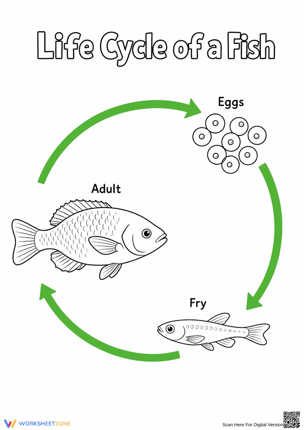 Printable Fish Life Cycle Worksheet | Grade 6 Science - Page 1