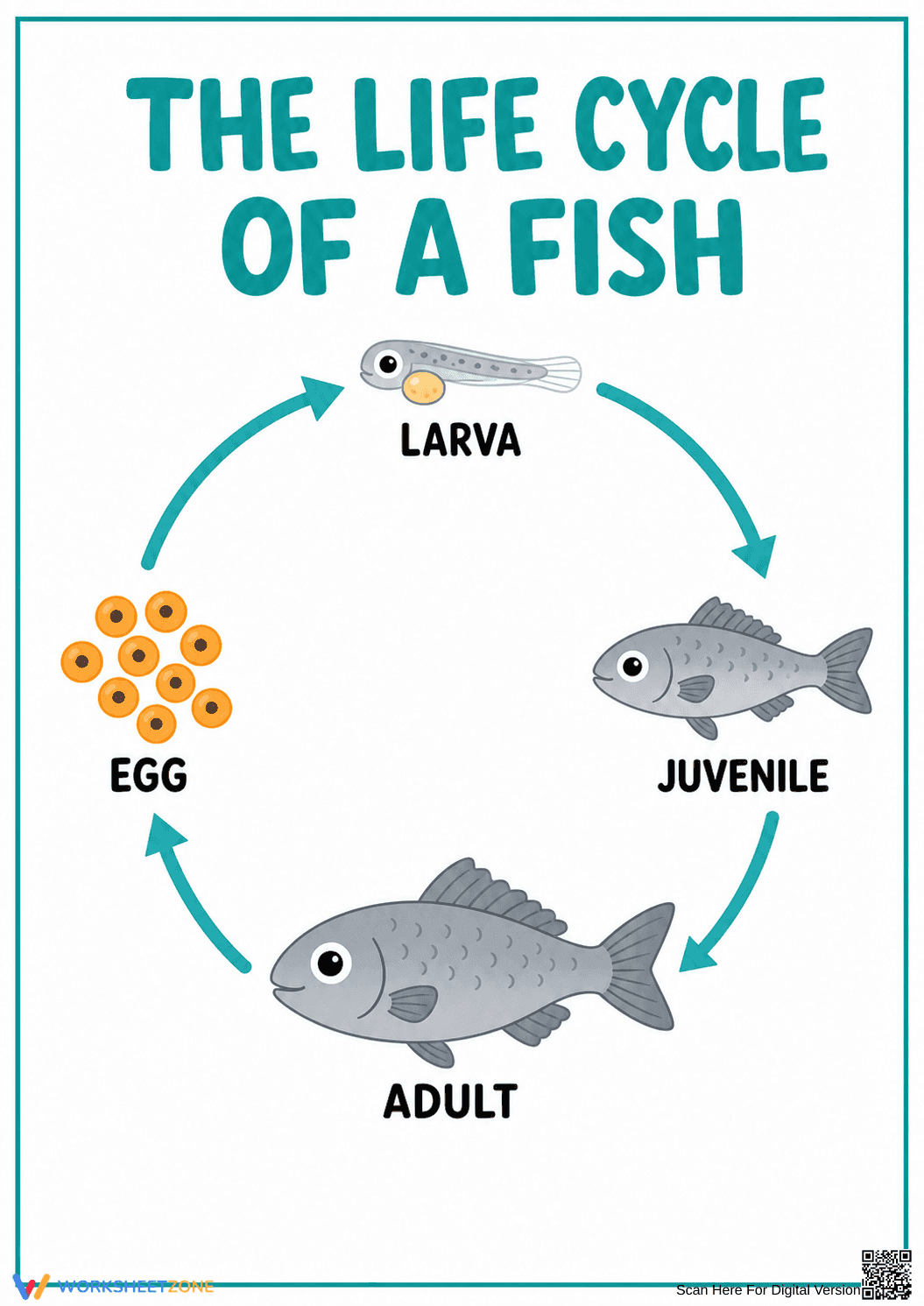 Essential Fish Life Cycle Diagram | Grade 6 Science - Page 1