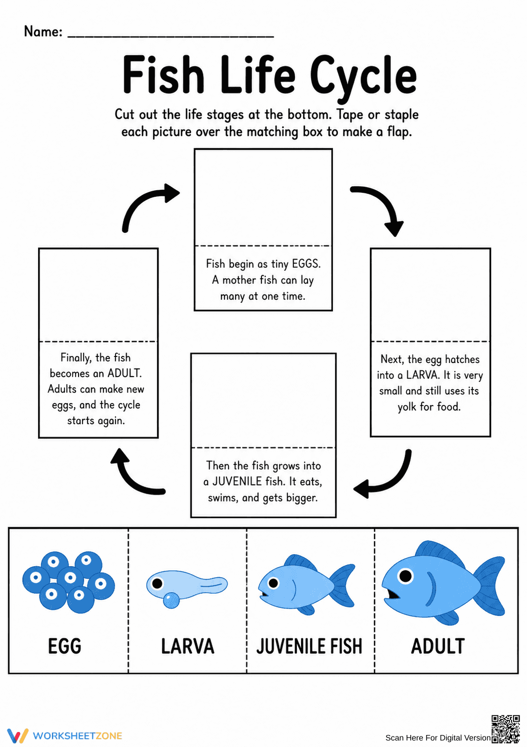 Fish Life Cycle Printable Worksheet | Grade 3 Science - Page 1