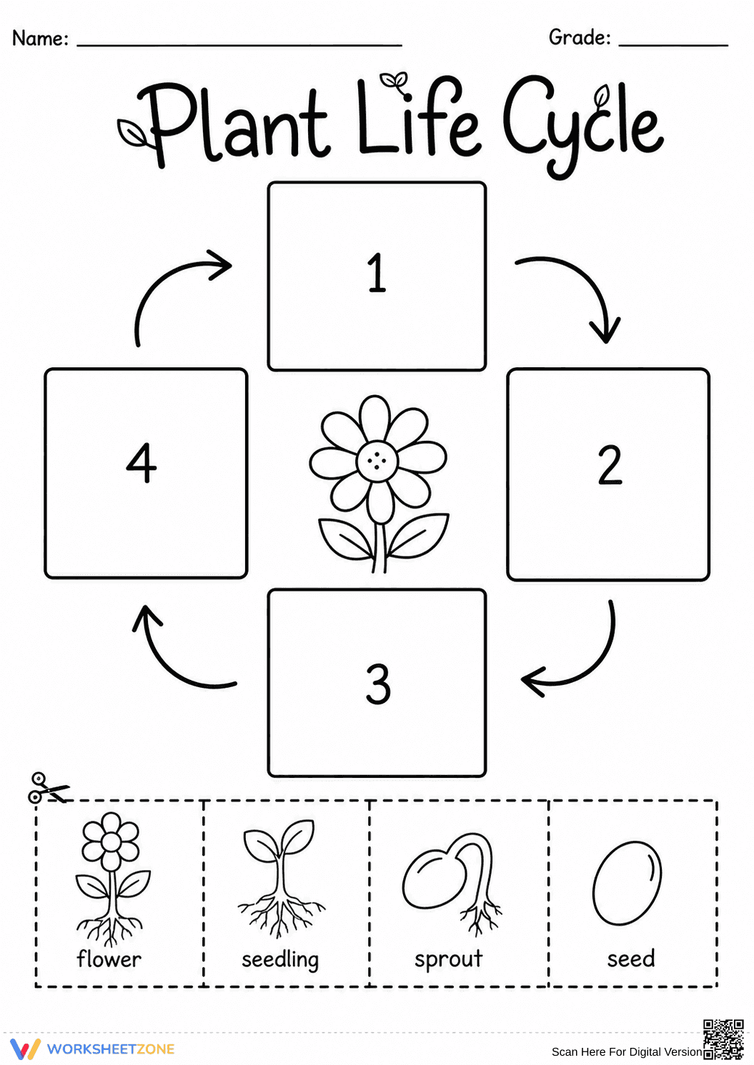 Plant Life Cycle Sequencing Worksheet | Grade 5 Essential - Page 1