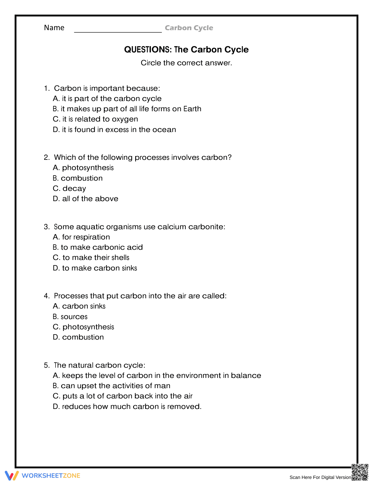 Questions on the Carbon Cycle: A Worksheet - Page 1