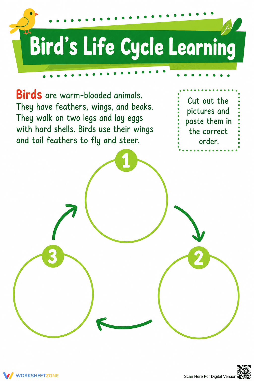 Bird's Life Cycle Worksheet | Grade 6 Essential Science - Page 1