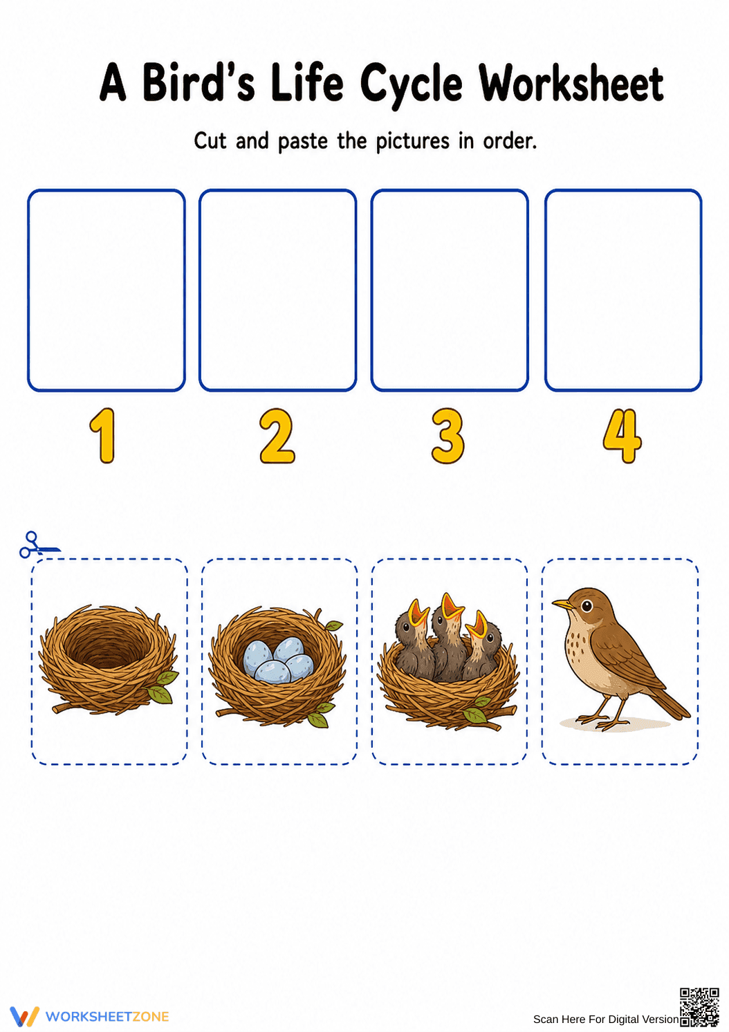 Bird Life Cycle Worksheet | Essential Grade K-1 Science - Page 1