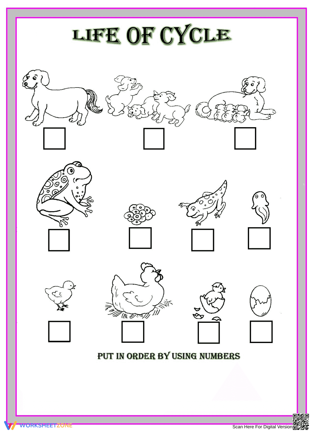 Life Cycle of Animals – Educational Worksheet for Kids - Page 1