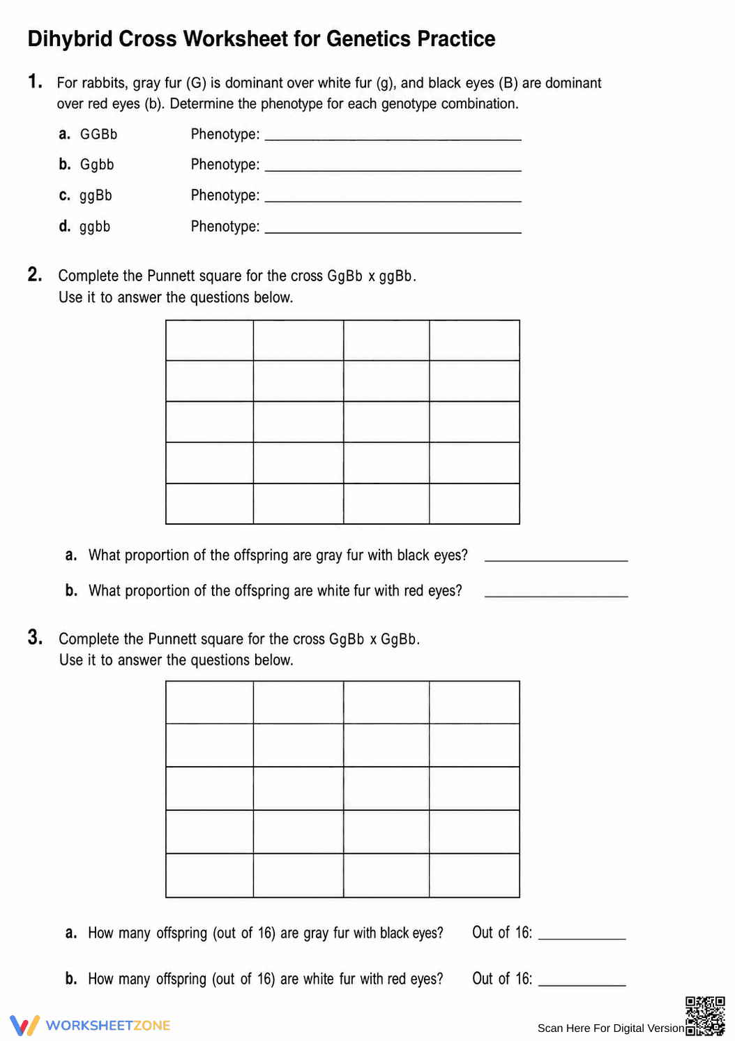 Essential Dihybrid Cross Worksheet | Grades 9-12 Biology - Page 1