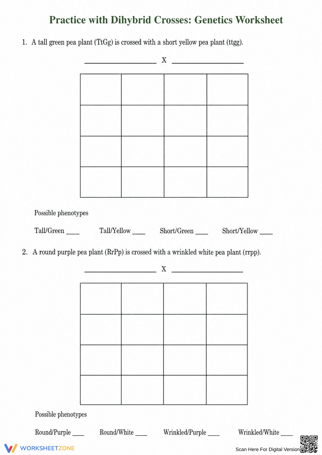 Essential Dihybrid Crosses Worksheet | Grade 9-12 Biology - Page 1