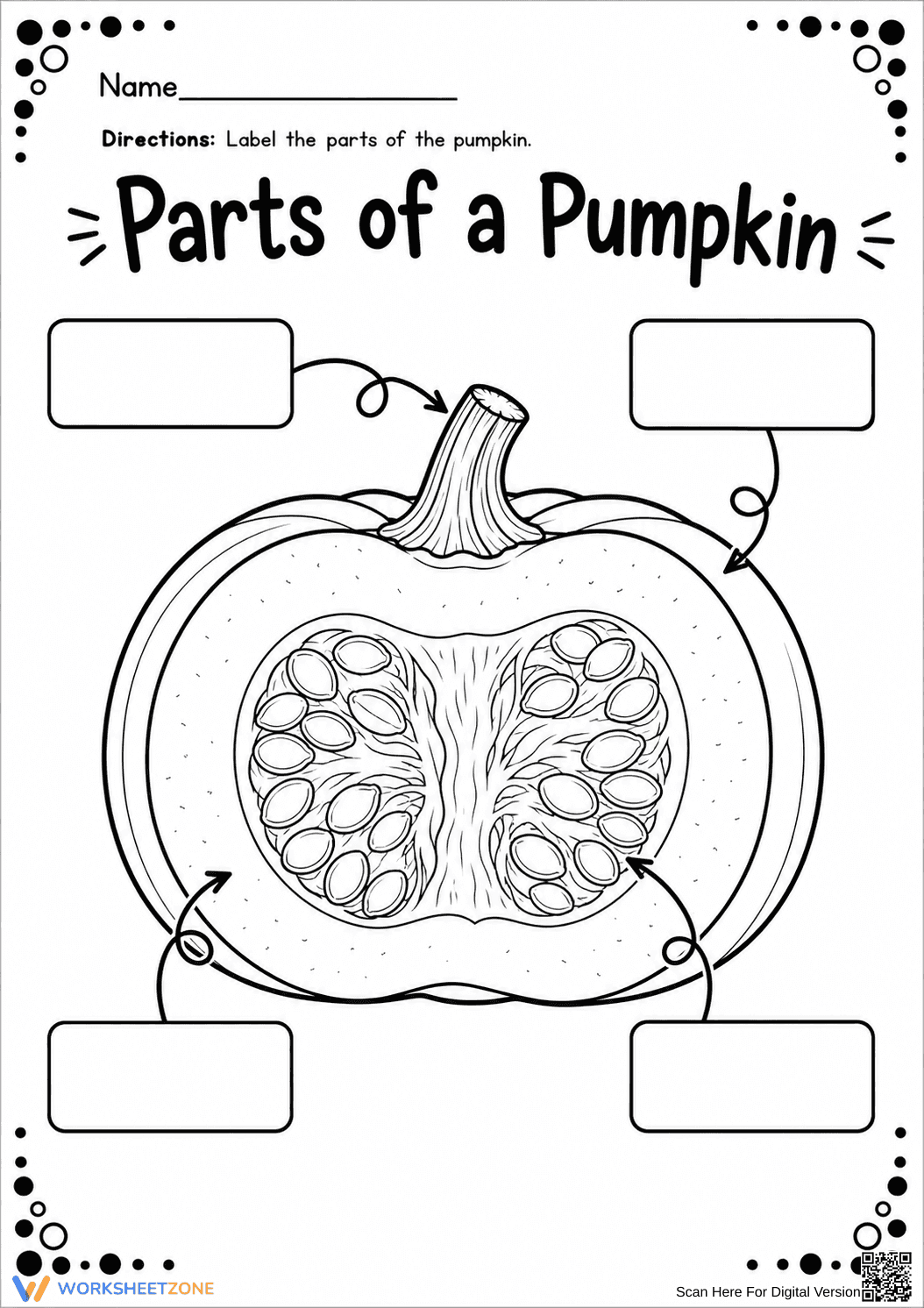Parts of the Pumpkin Worksheet | Grade 1 Essential - Page 1
