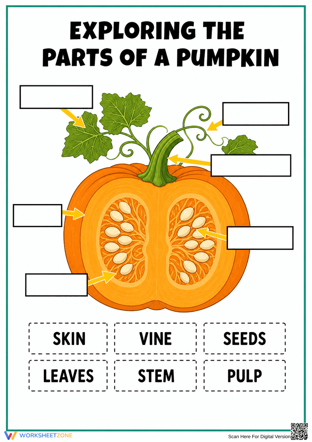 Grade 1 Pumpkin Parts — Printable No-Prep Worksheet - Page 1