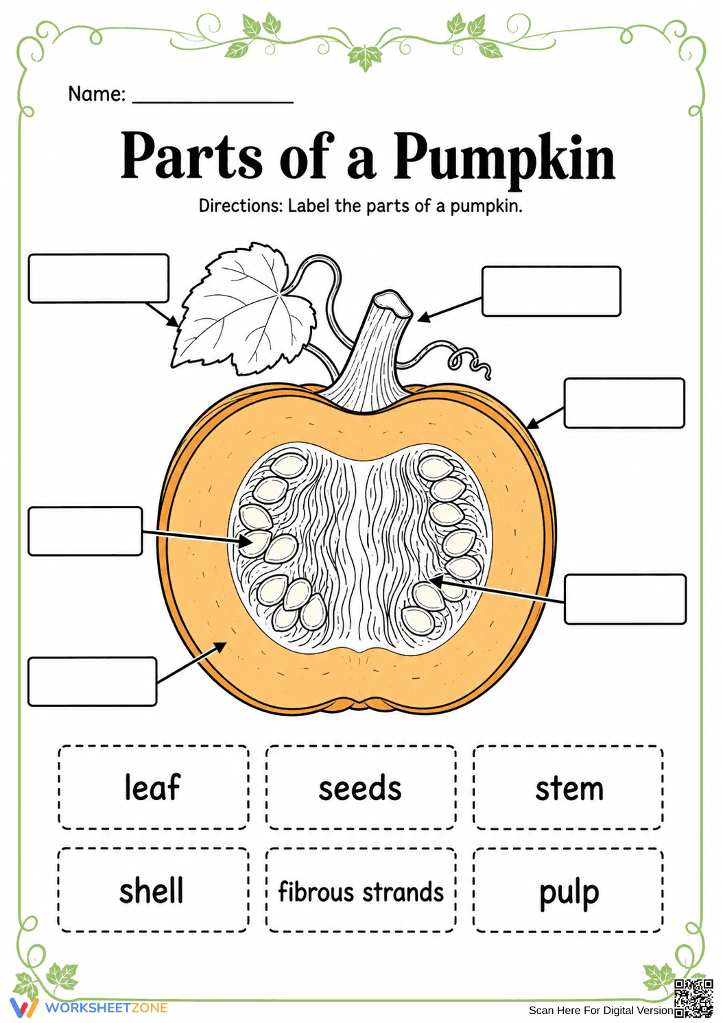Printable Parts of a Pumpkin Worksheet | Grade 1 Science - Page 1