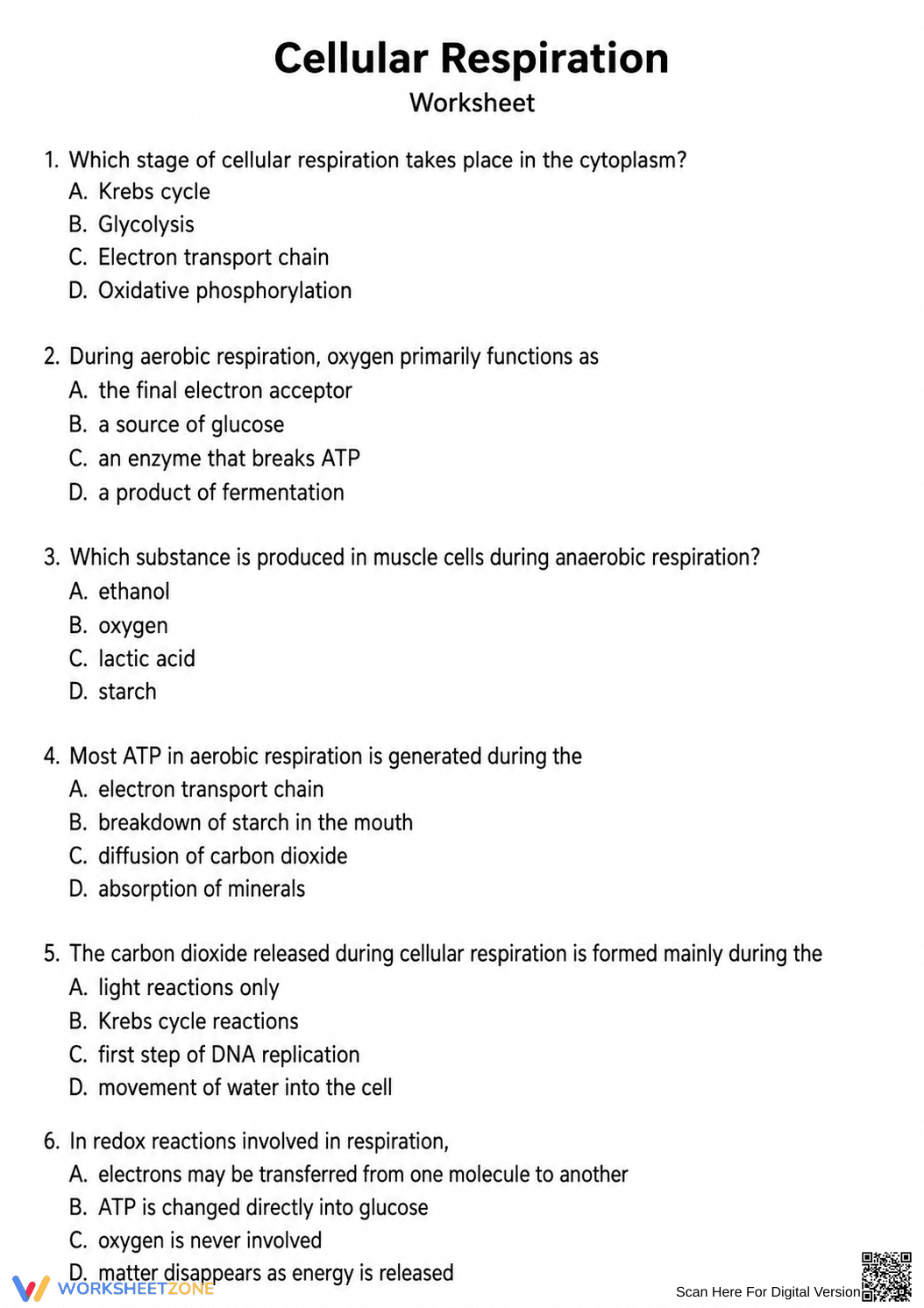 HS Cellular Respiration — Printable No-Prep Worksheet - Page 1