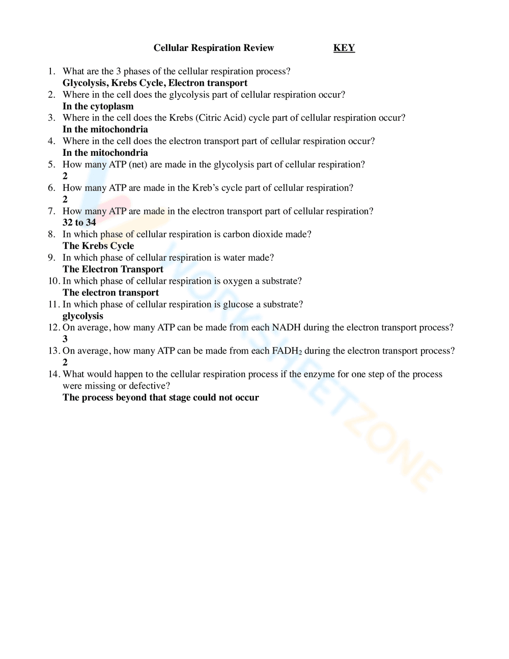 Cellular Respiration Review Worksheet - Page 1