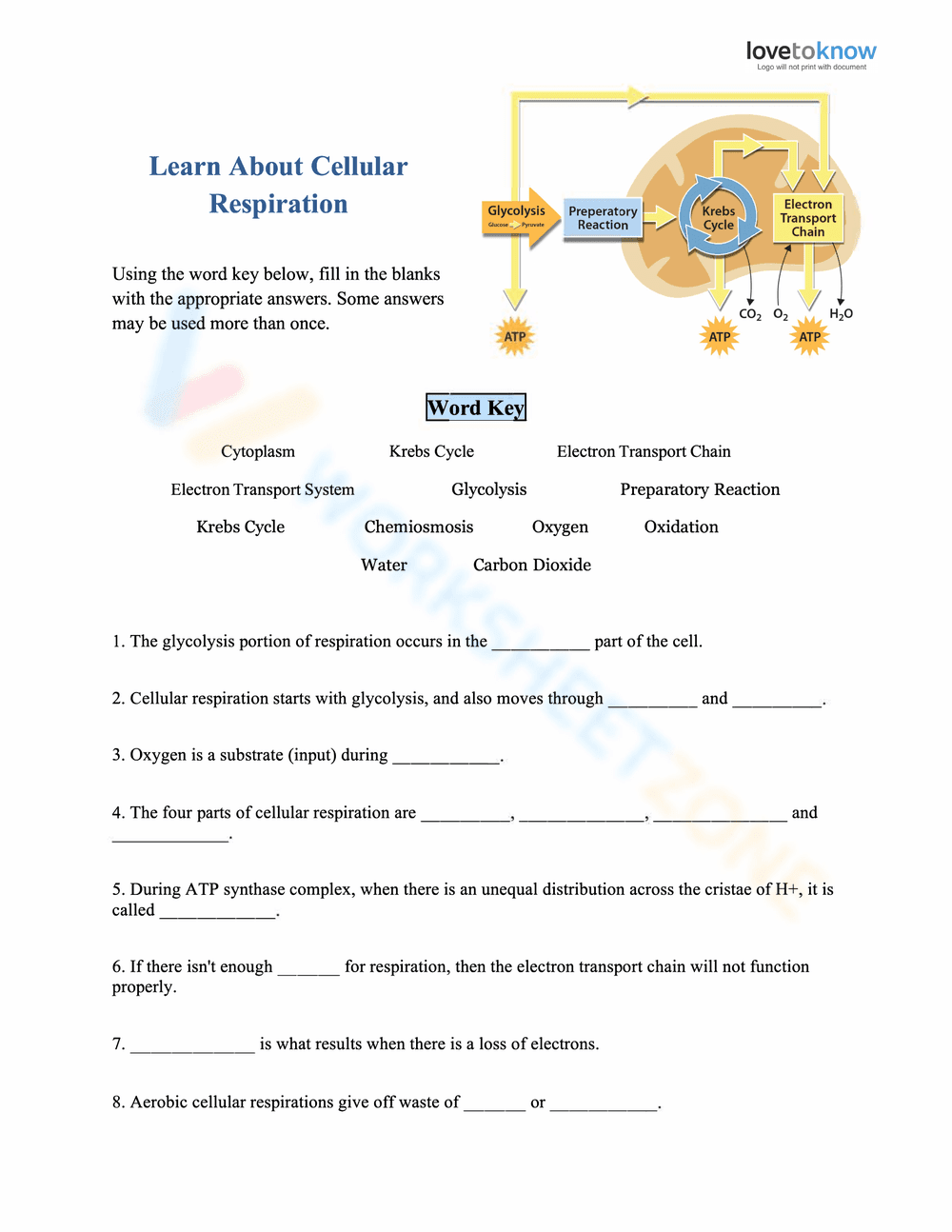 Learn About Cellular Respiration - Page 1