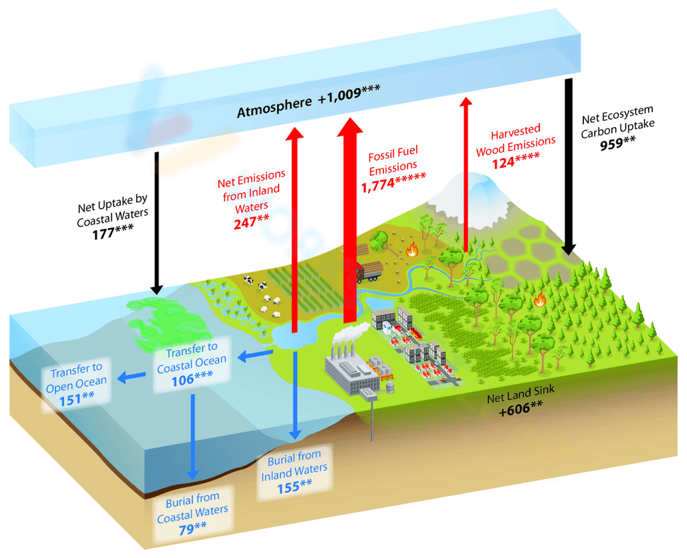 Understanding the Cycle of Carbon - Page 1