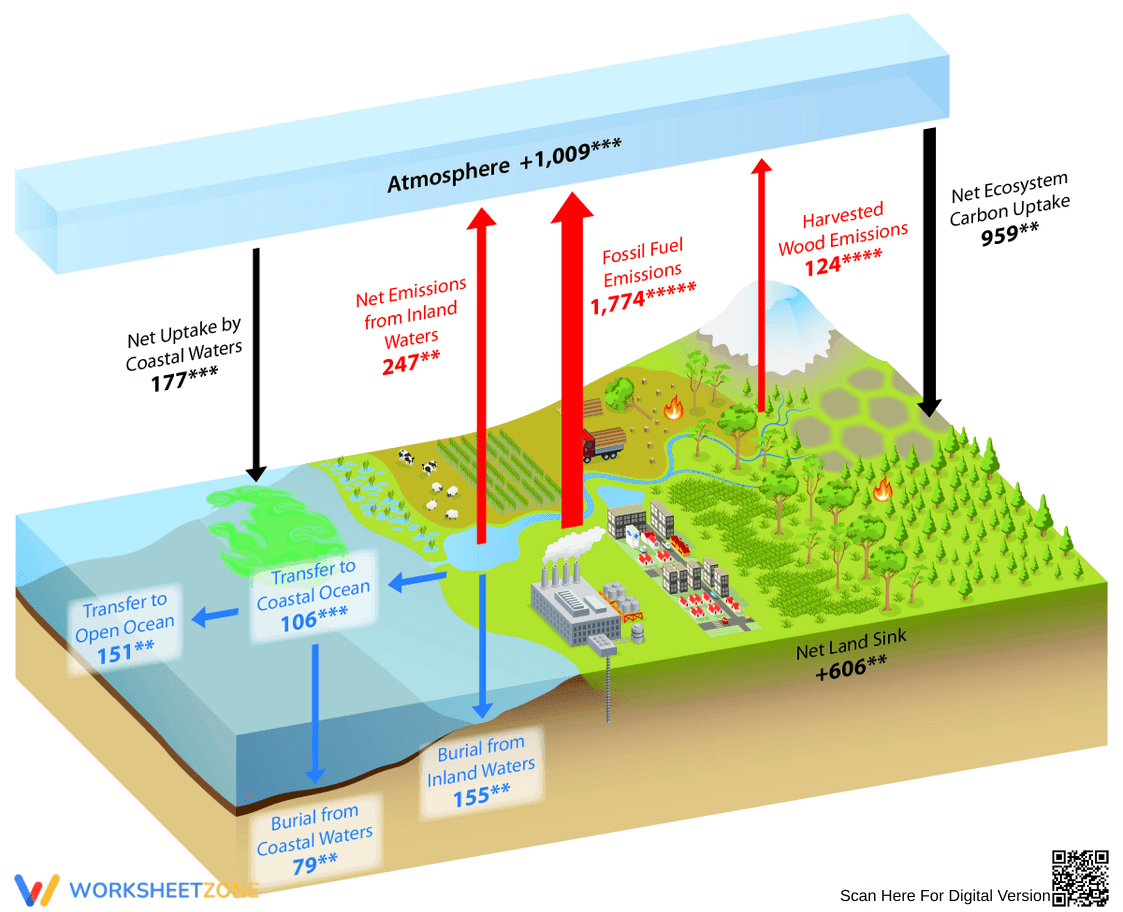 Understanding the Cycle of Carbon - Page 1