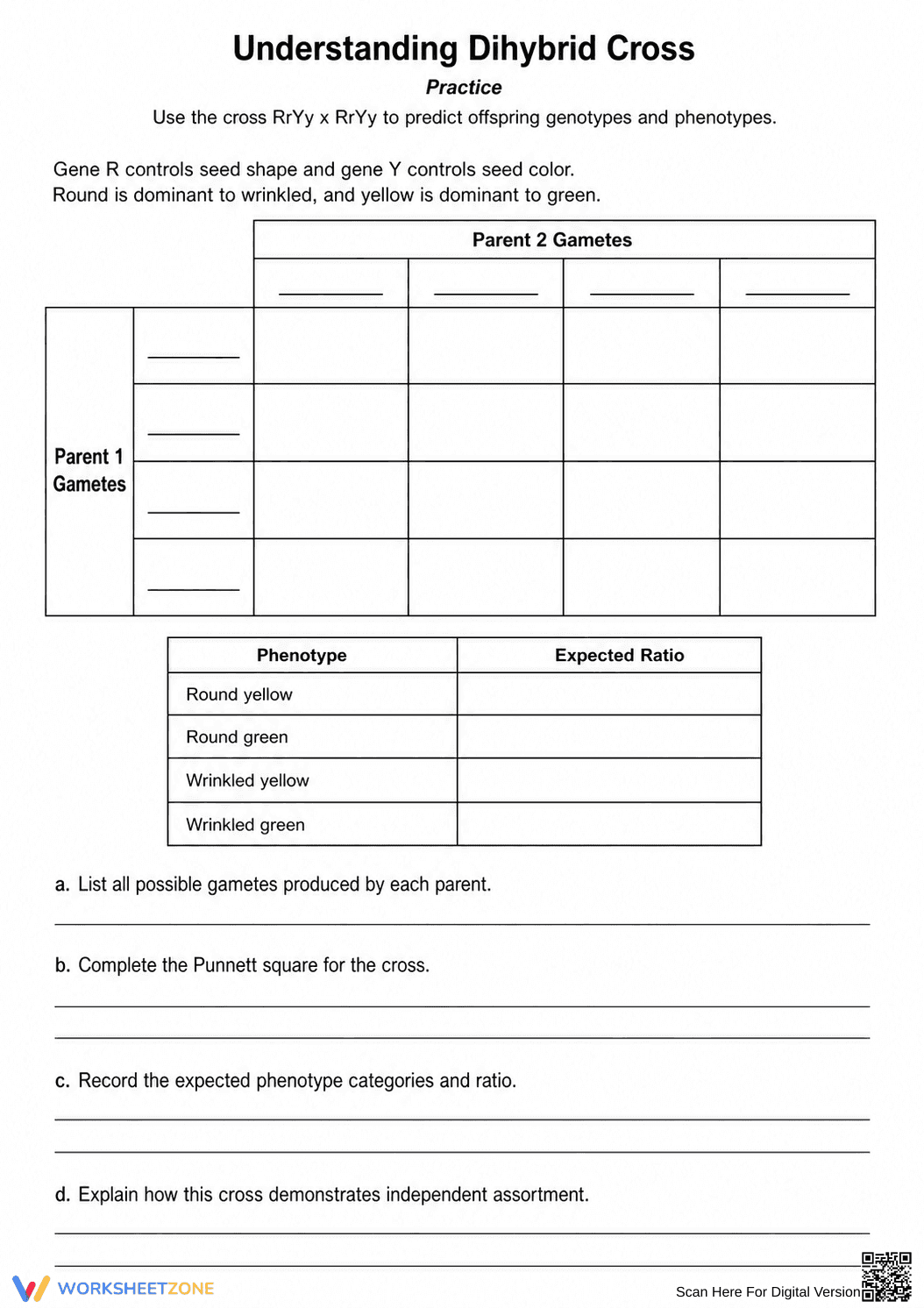 Essential Dihybrid Cross Worksheet | Grades 9-12 Biology - Page 1