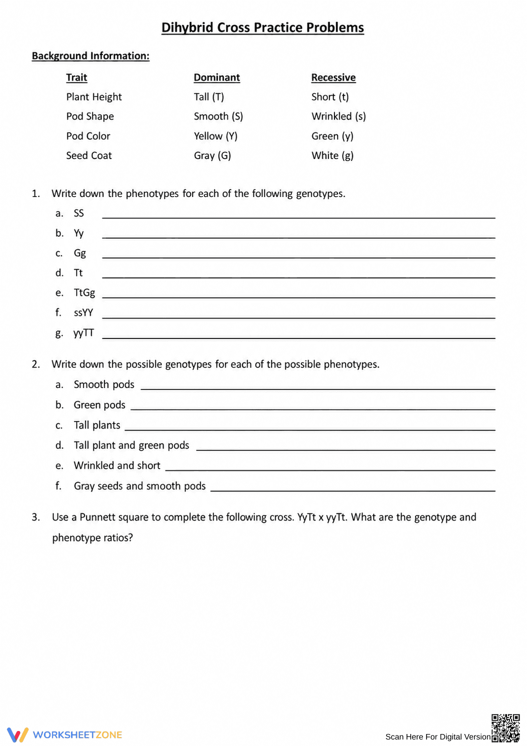 Essential Dihybrid Cross Practice | Grade 9-12 Biology - Page 1