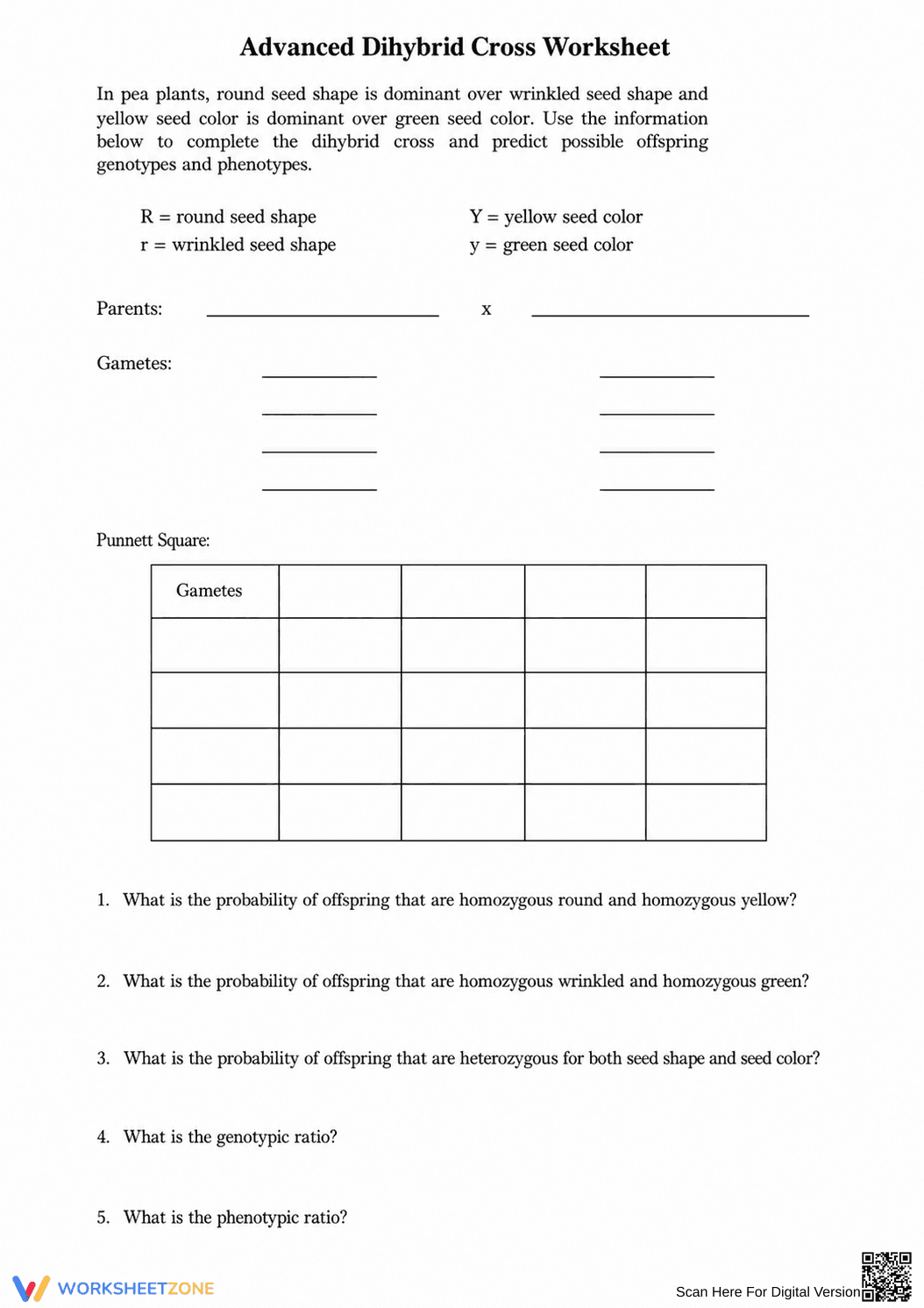 Printable Dihybrid Cross Worksheet | Grade 9-12 Biology - Page 1