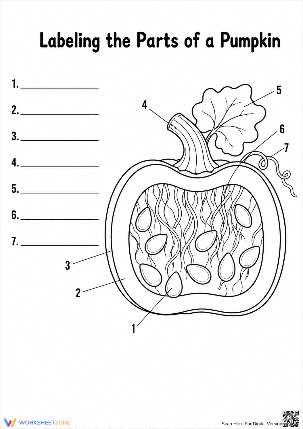 Printable Pumpkin Labeling Worksheet | Grade 1 Science - Page 1