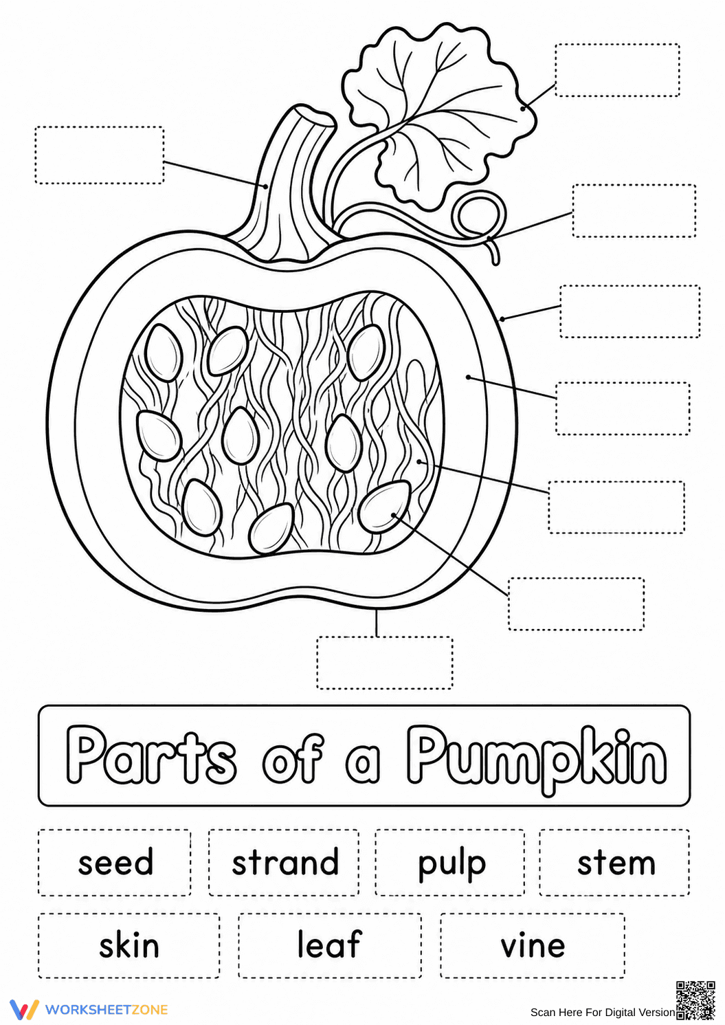 Grade 1 Pumpkin Anatomy — Printable No-Prep Worksheet - Page 1
