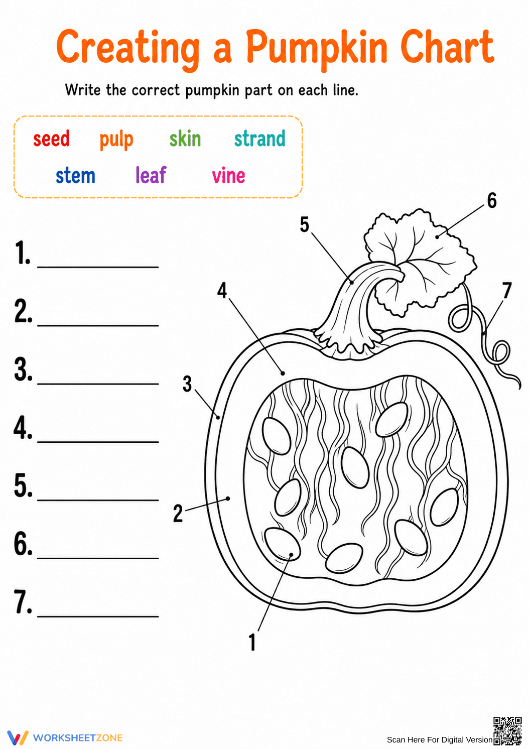 Grade 1 Pumpkin Anatomy — Printable No-Prep Worksheet - Page 1