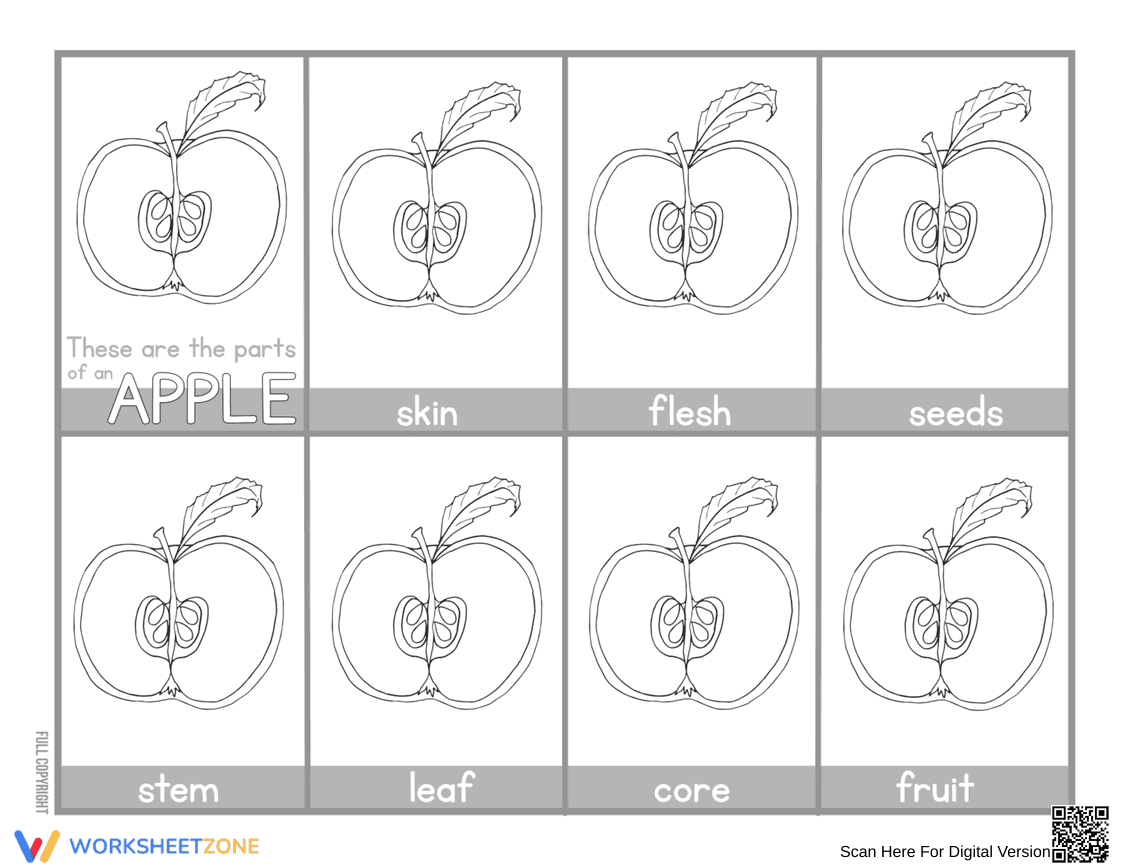 Apple Printable Worksheet | Grade K–5 ELA Ready - Page 1