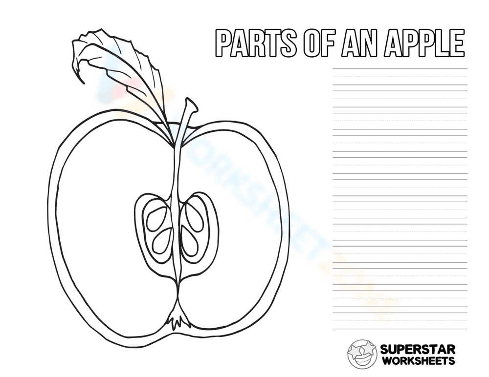 Parts of an apple - Page 1