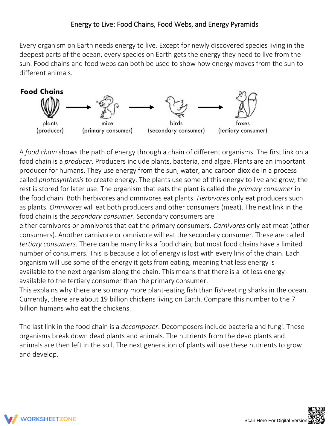 Exploring Energy Pyramid Concepts - Page 1