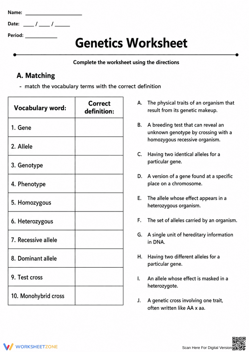 Essential Genetics Vocabulary & Punnett Square Worksheet - Page 1