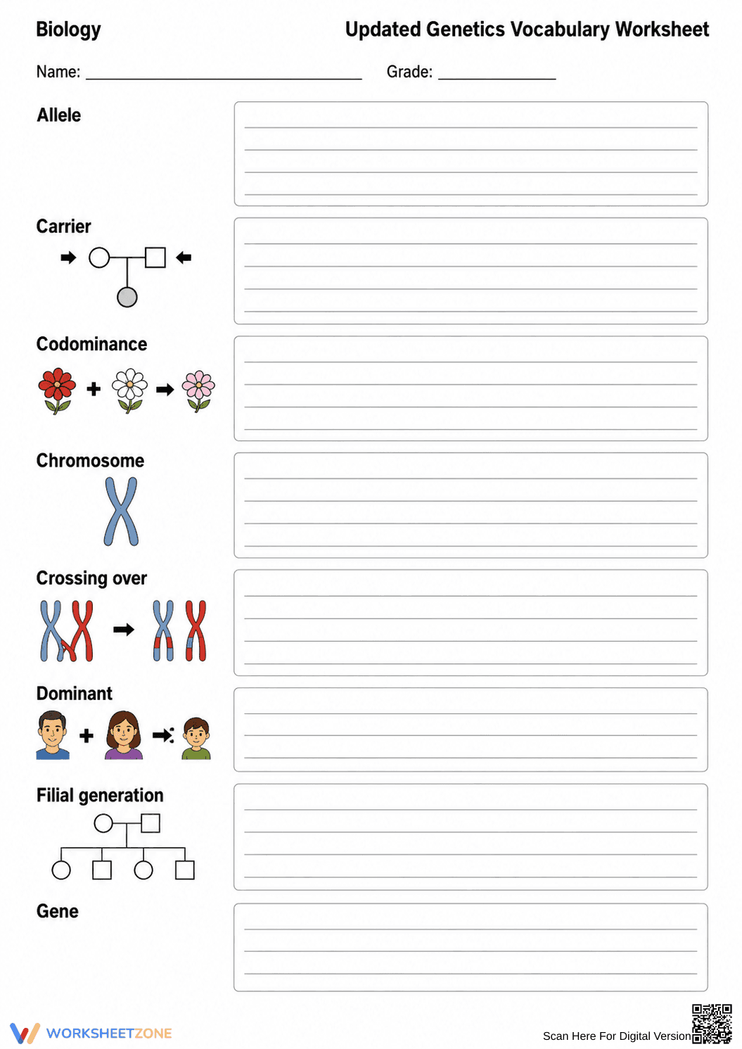 Grade 9 Genetics Vocabulary — Printable No-Prep Worksheet - Page 1