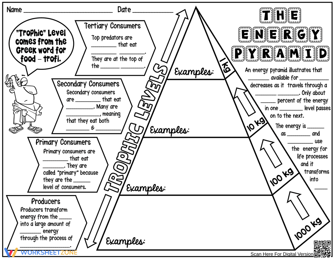 Exploring the Energy Pyramid Worksheet - Page 1