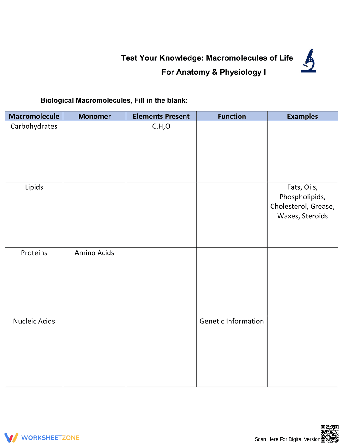 Macromolecules of Life Worksheet - Page 1