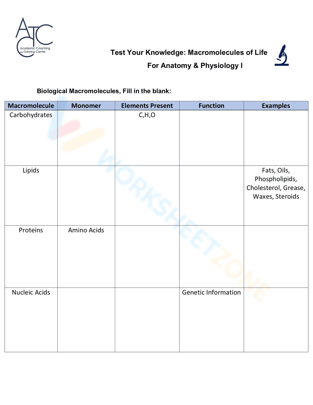 Macromolecules of Life Worksheet - Page 1