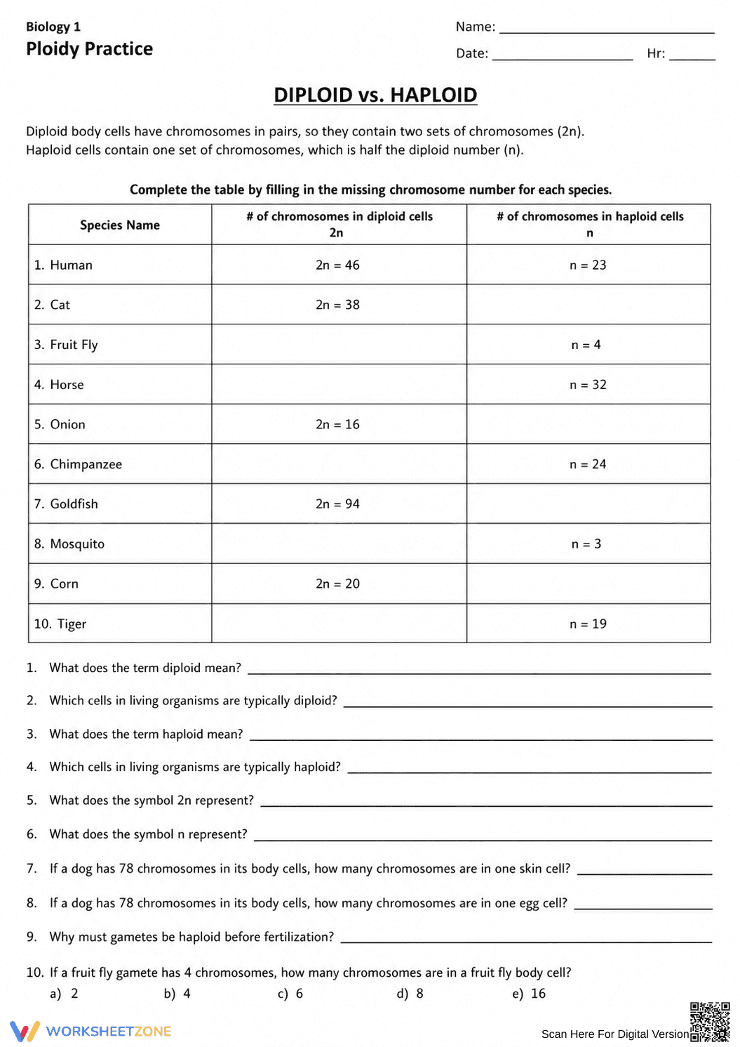 Essential Diploid and Haploid Worksheet | Grade 9-12 Biology - Page 1