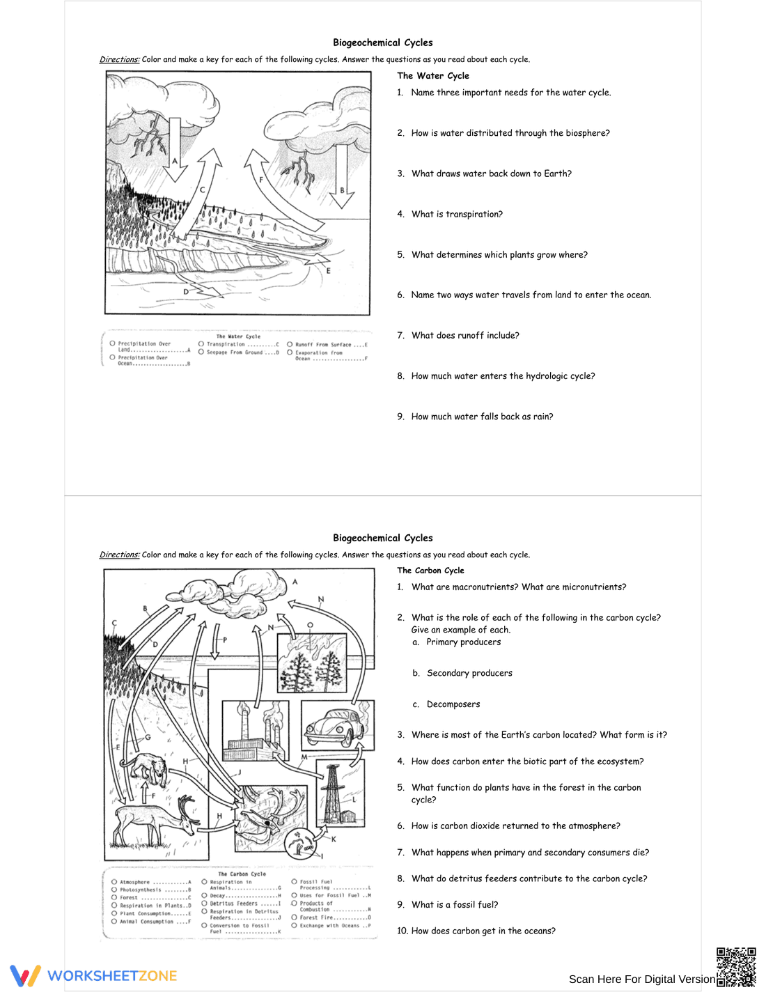 Understanding Biogeochemical Cycles - Page 1
