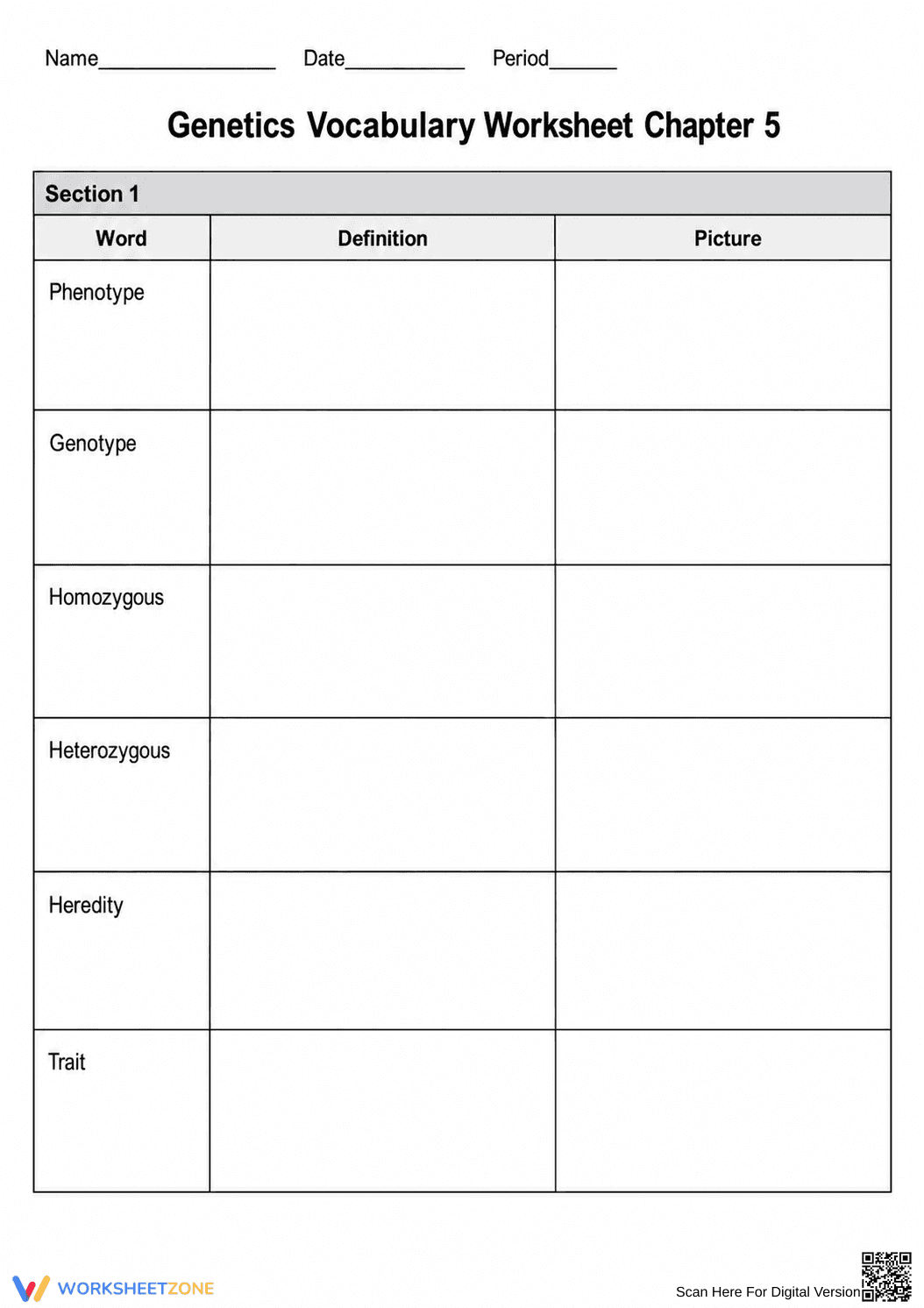 Grade 8 Genetics Vocabulary — Printable No-Prep Worksheet - Page 1