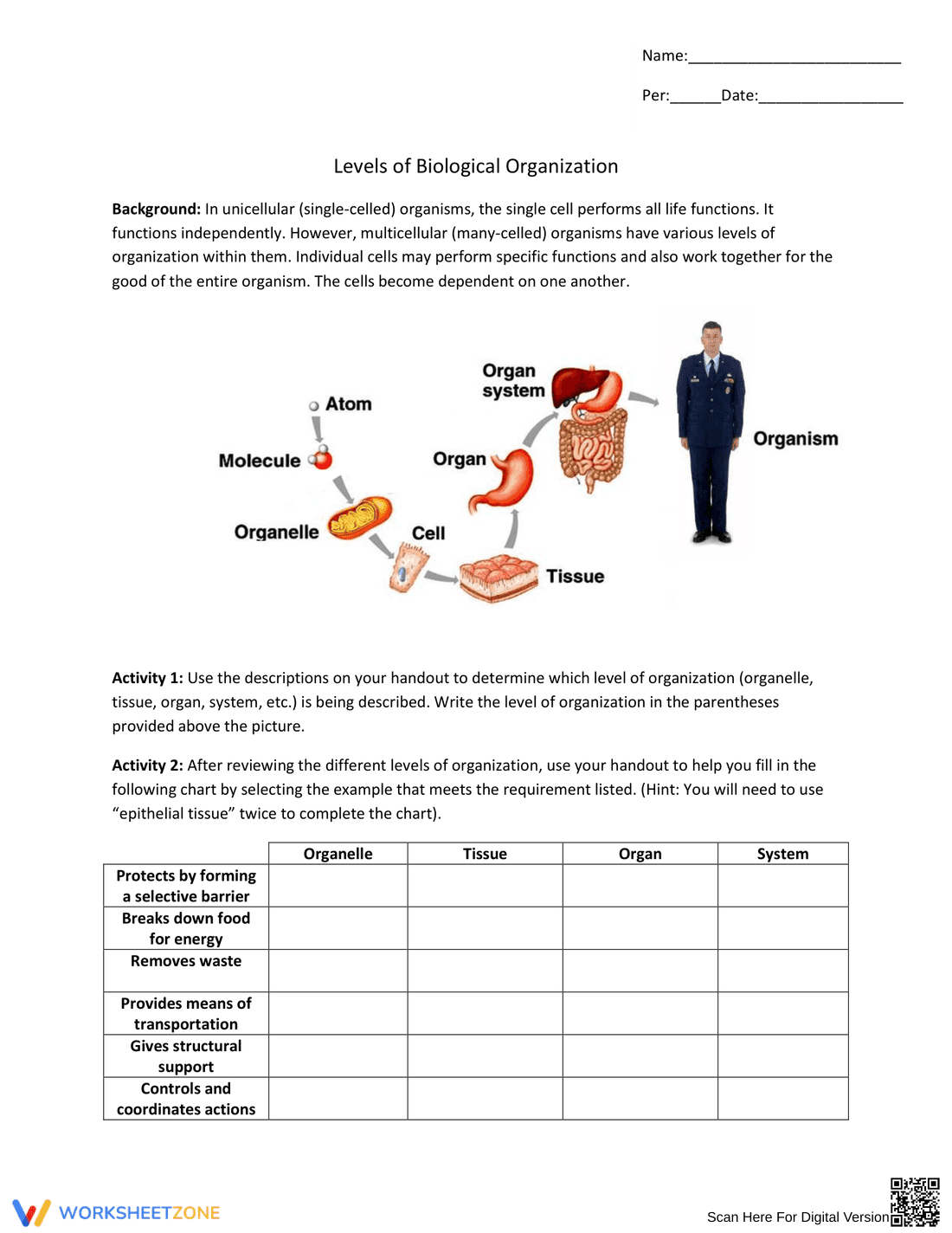 Printable Levels of Biological Organization | Grade 9-12 - Page 1
