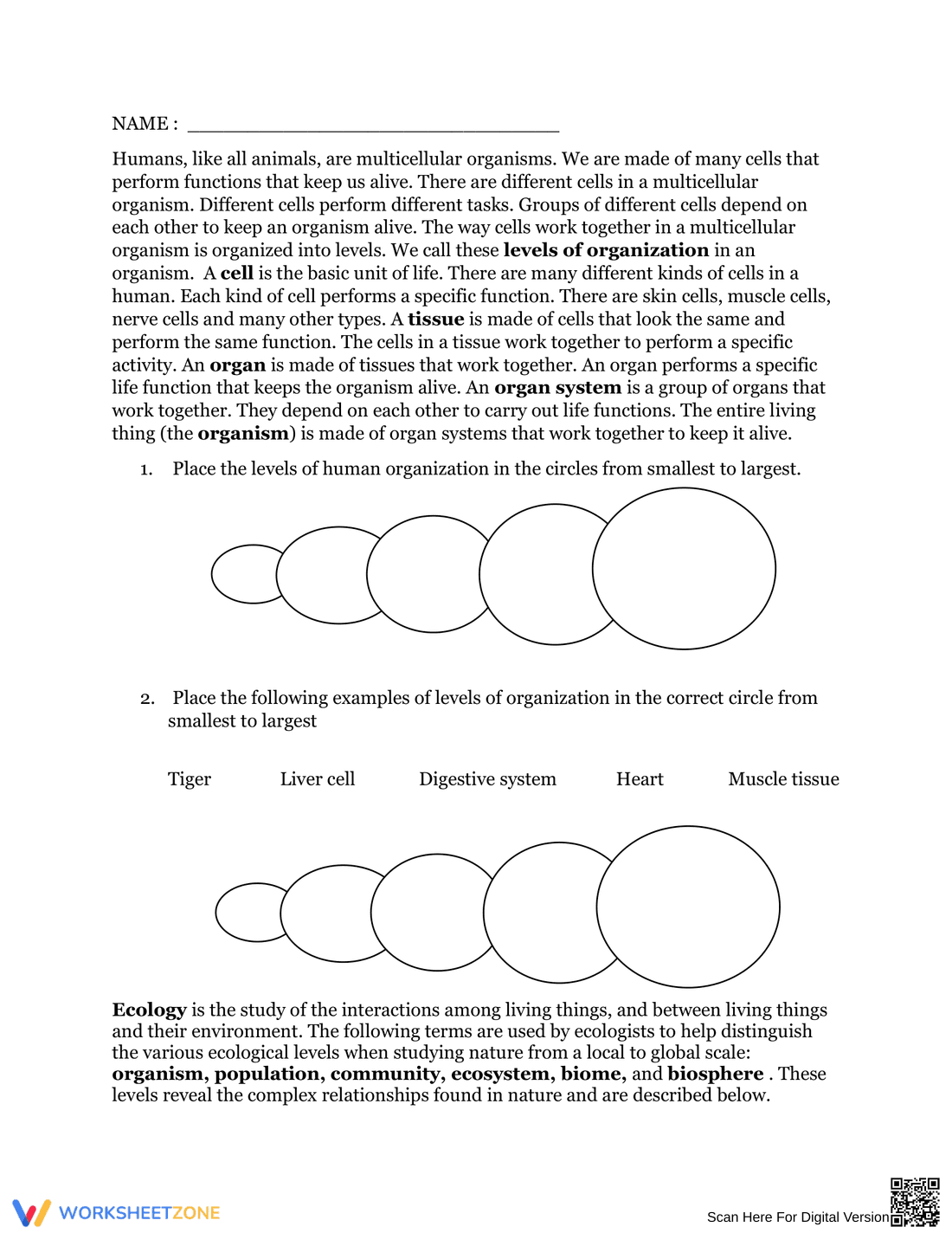 Levels of Organization Reading Worksheet - Page 1