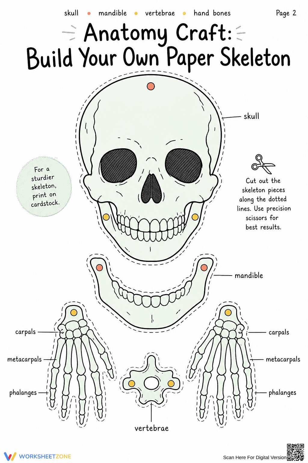 Printable Paper Skeleton Anatomy Craft | Grade 4-7 - Page 1