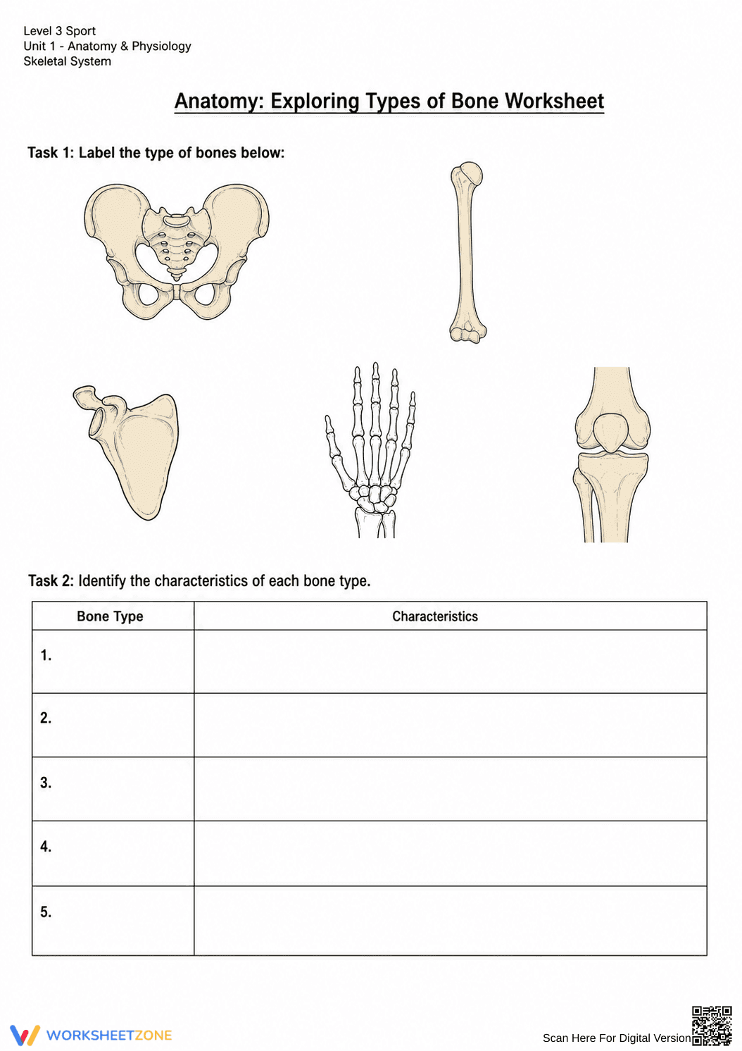 Printable Types of Bone Worksheet | Grade 9-12 Science - Page 1