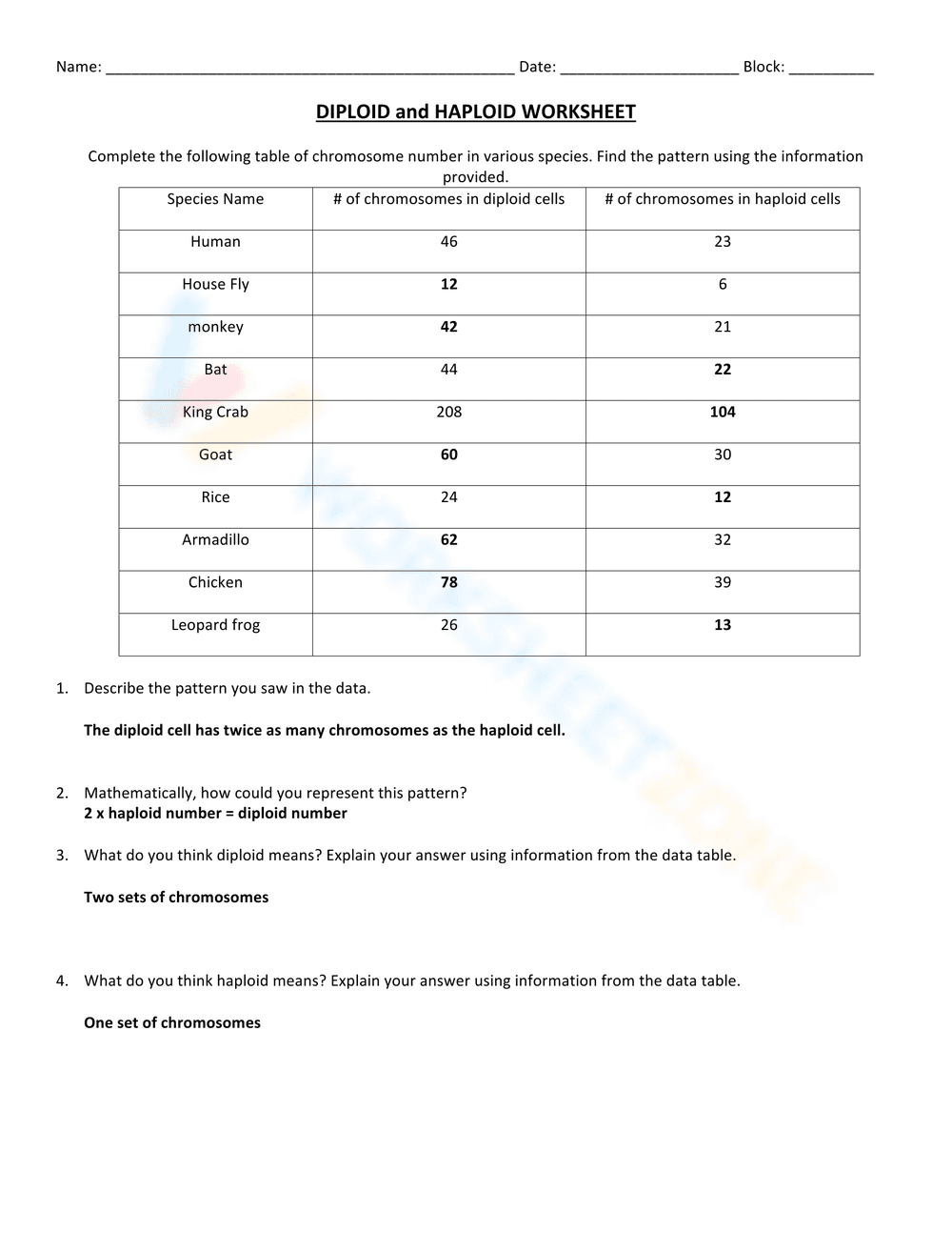 Haploid and Diploid Worksheet | Grade 9-12 Essential - Page 1
